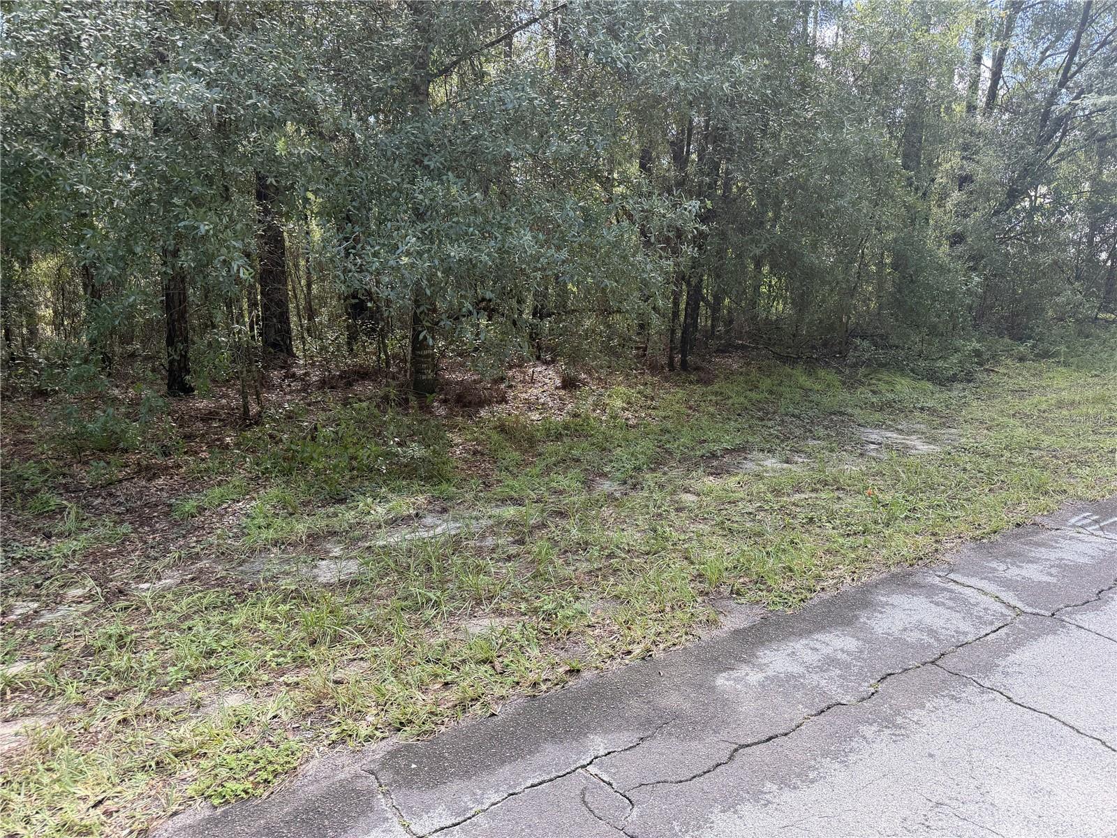 10075 N Biscayne Dr Property Photo 2
