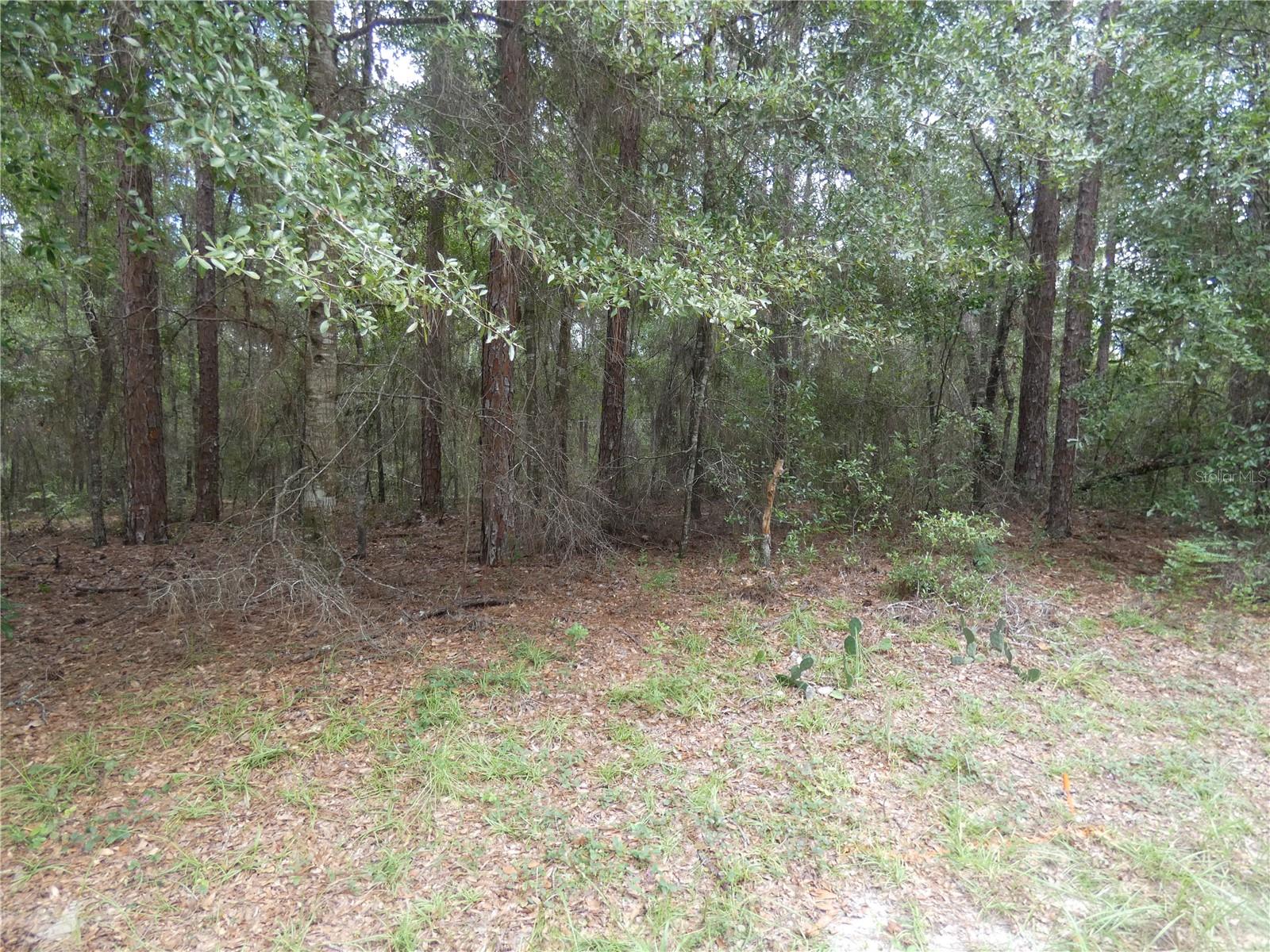 10075 N Biscayne Dr Property Photo 3
