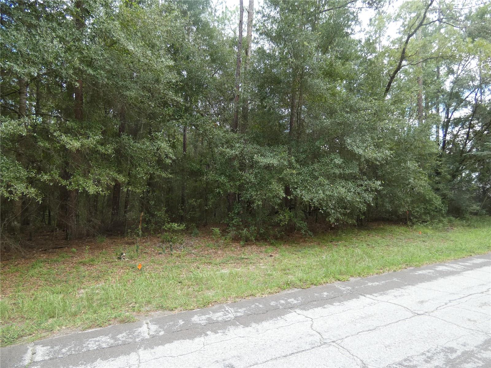 10075 N Biscayne Dr Property Photo 8