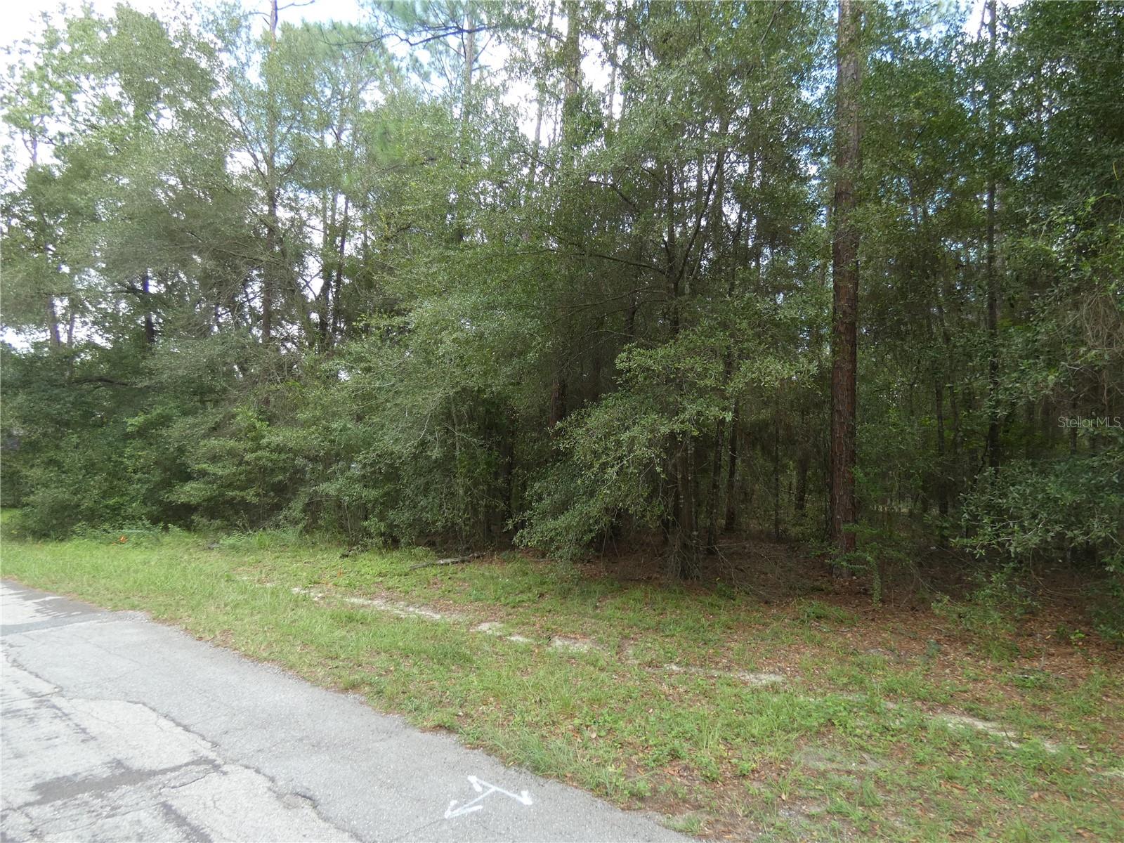 10075 N Biscayne Dr Property Photo 11