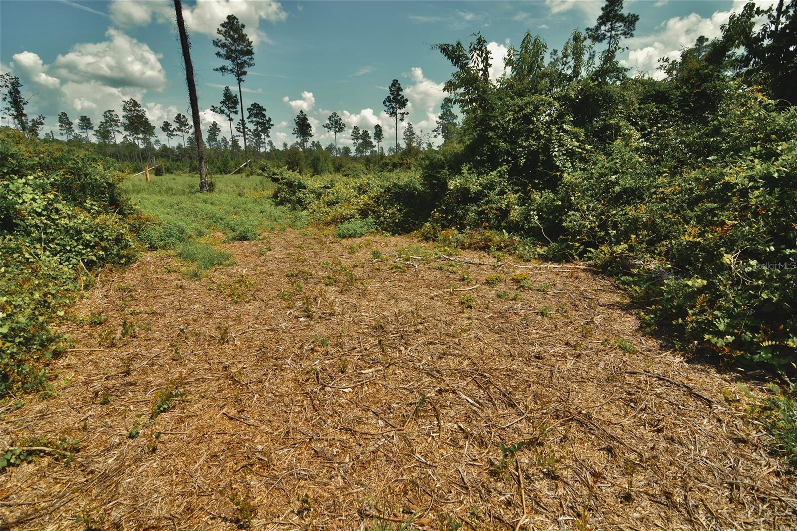 00 99th Ln Property Photo 14
