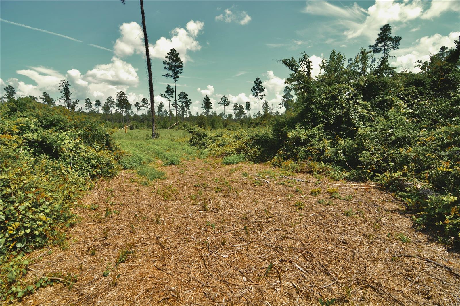 00 99th Ln Property Photo 25