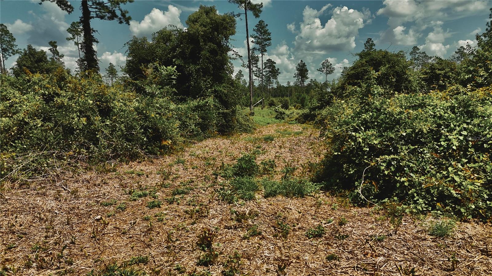 00 99th Ln Property Photo 26