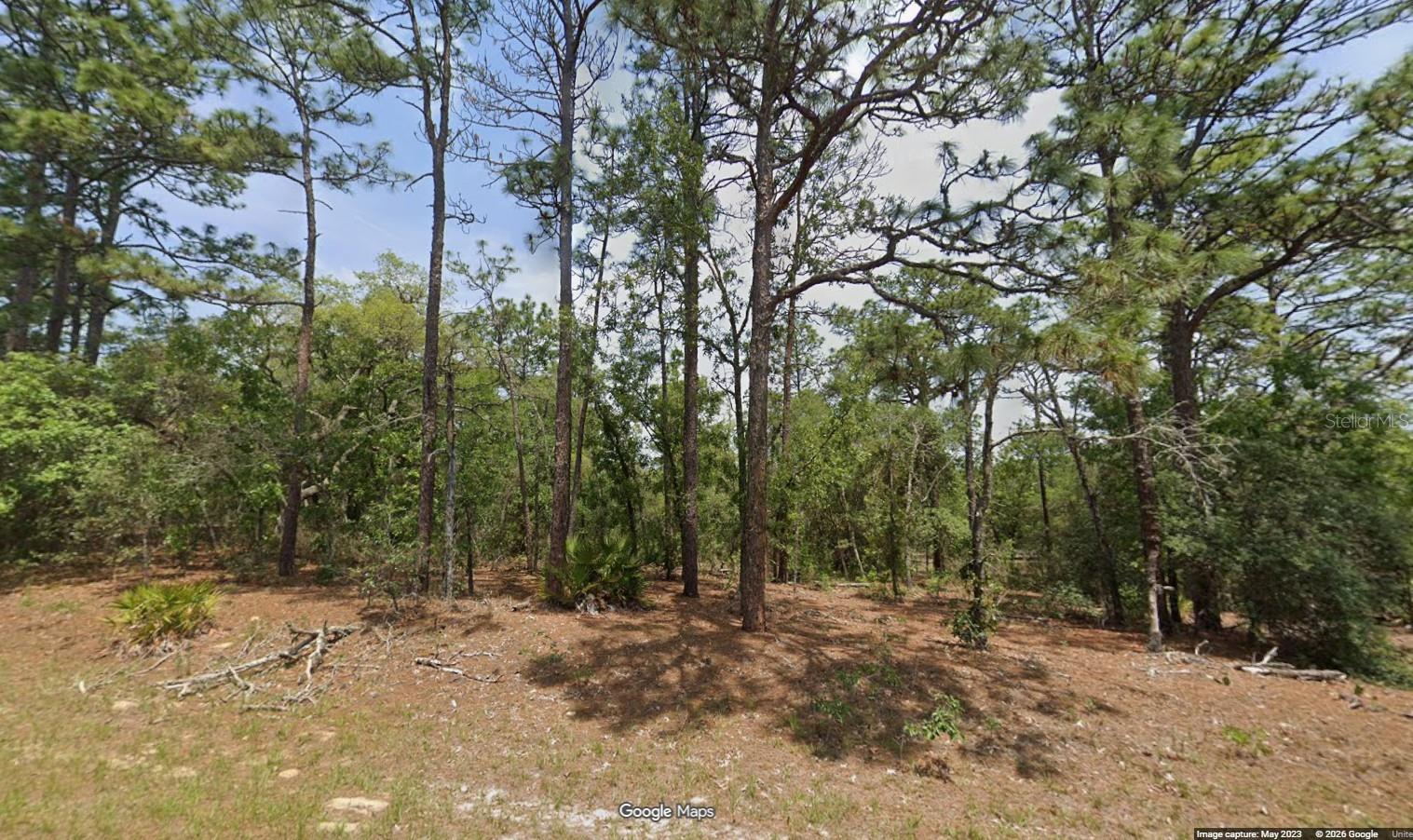11351 N Kenney Loop Property Photo 1