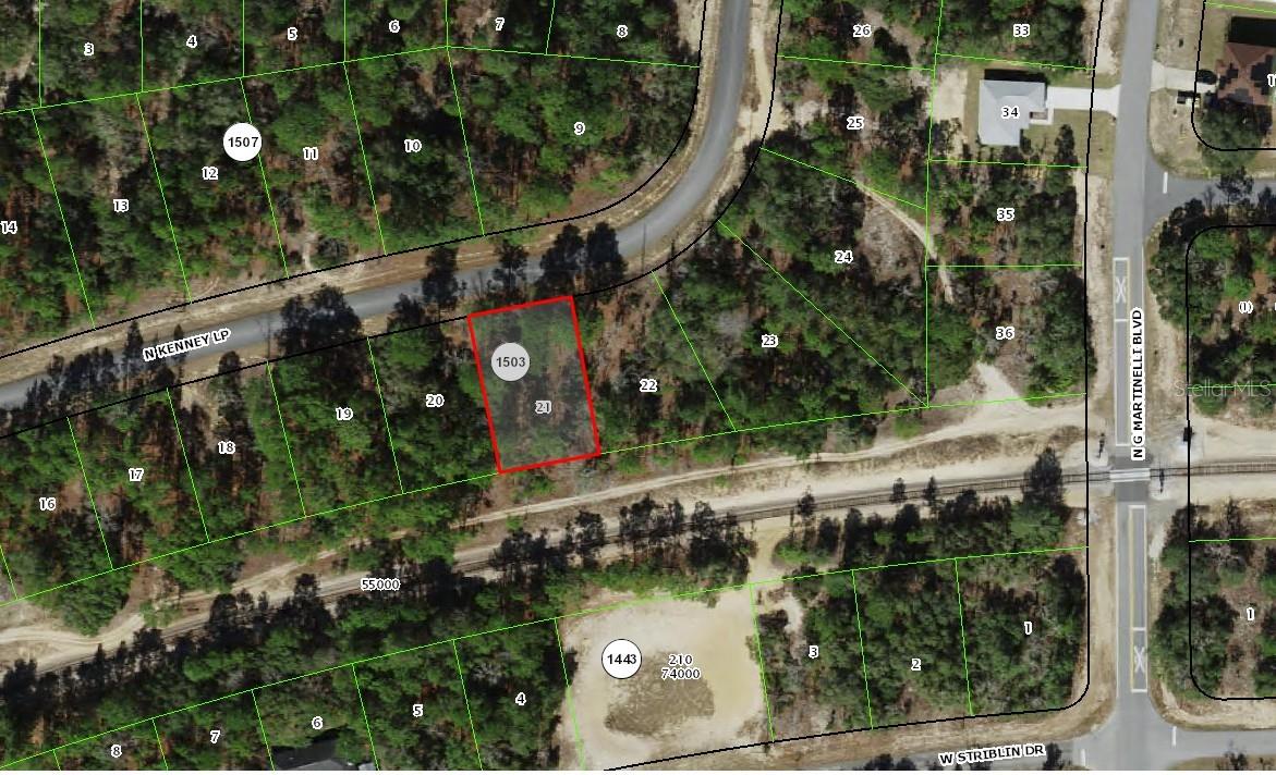 11351 N Kenney Loop Property Photo 3