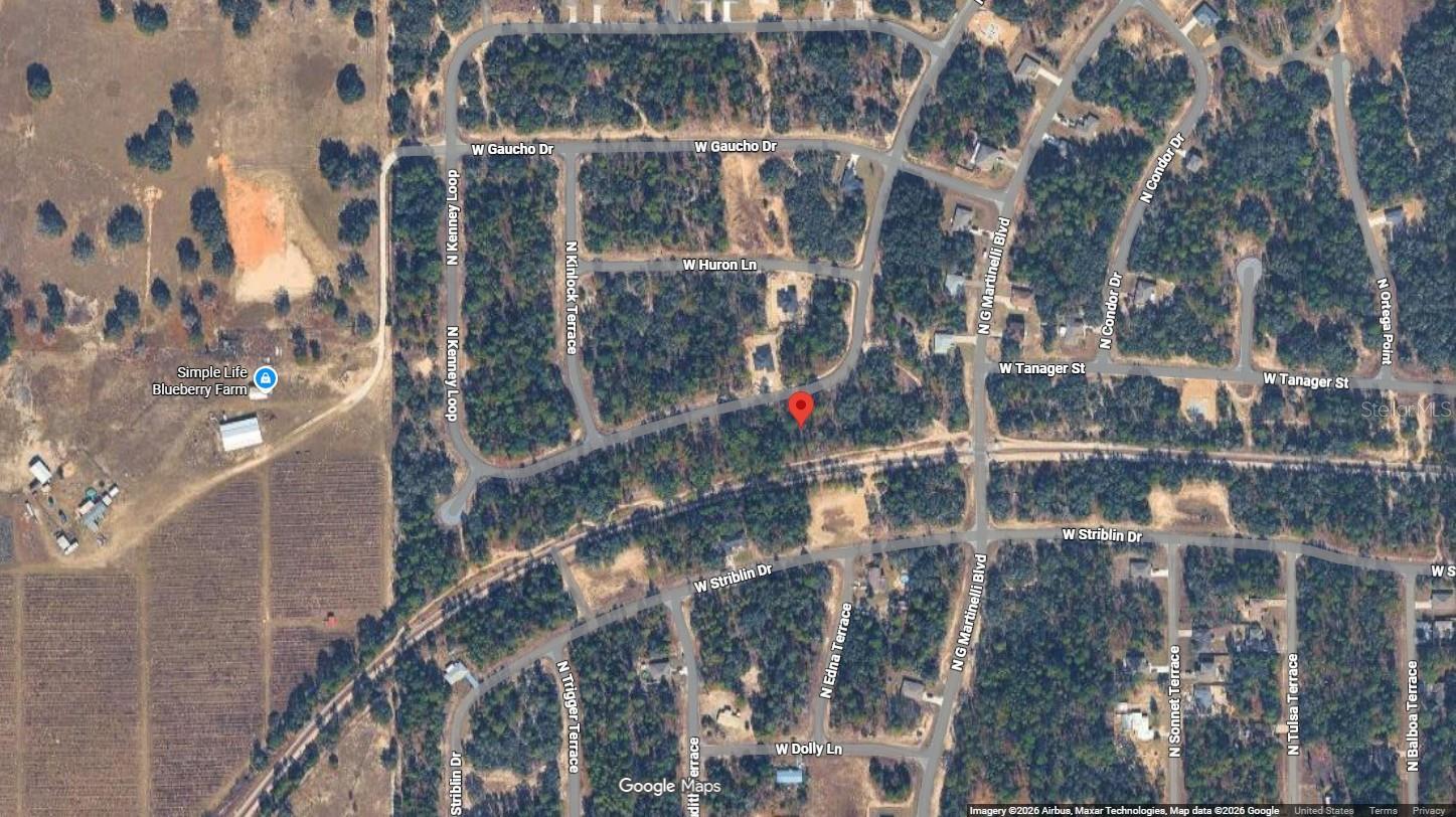 11351 N Kenney Loop Property Photo 5