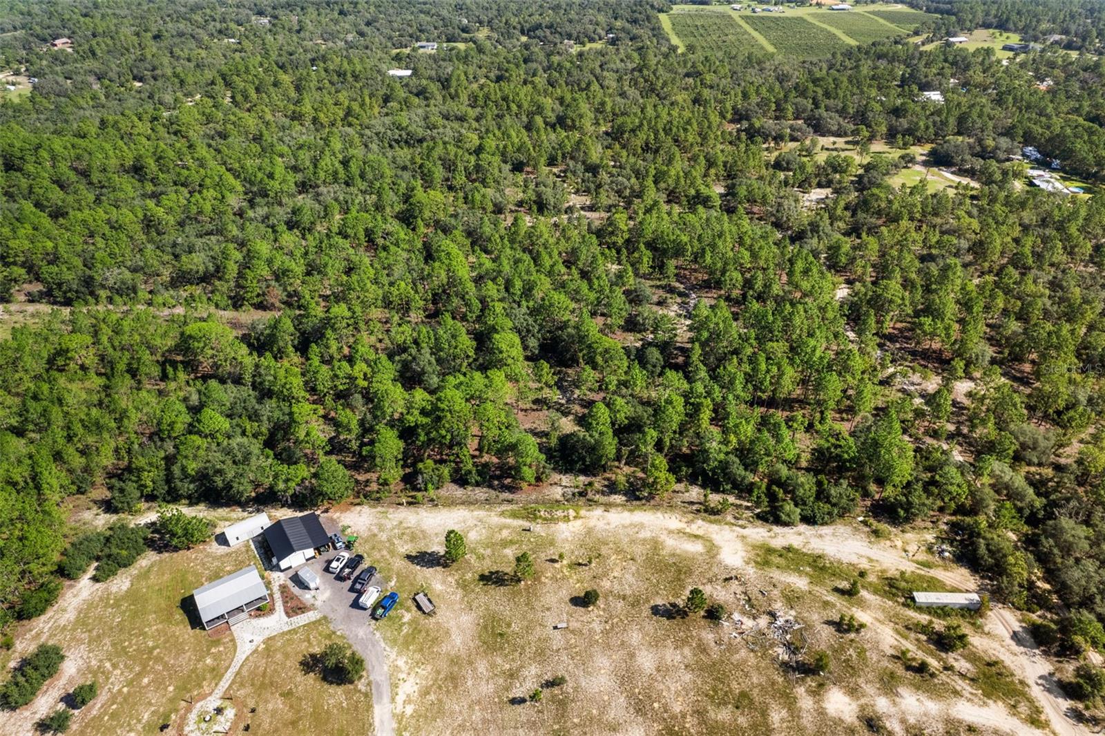 10686 N Statue Pt Property Photo 4