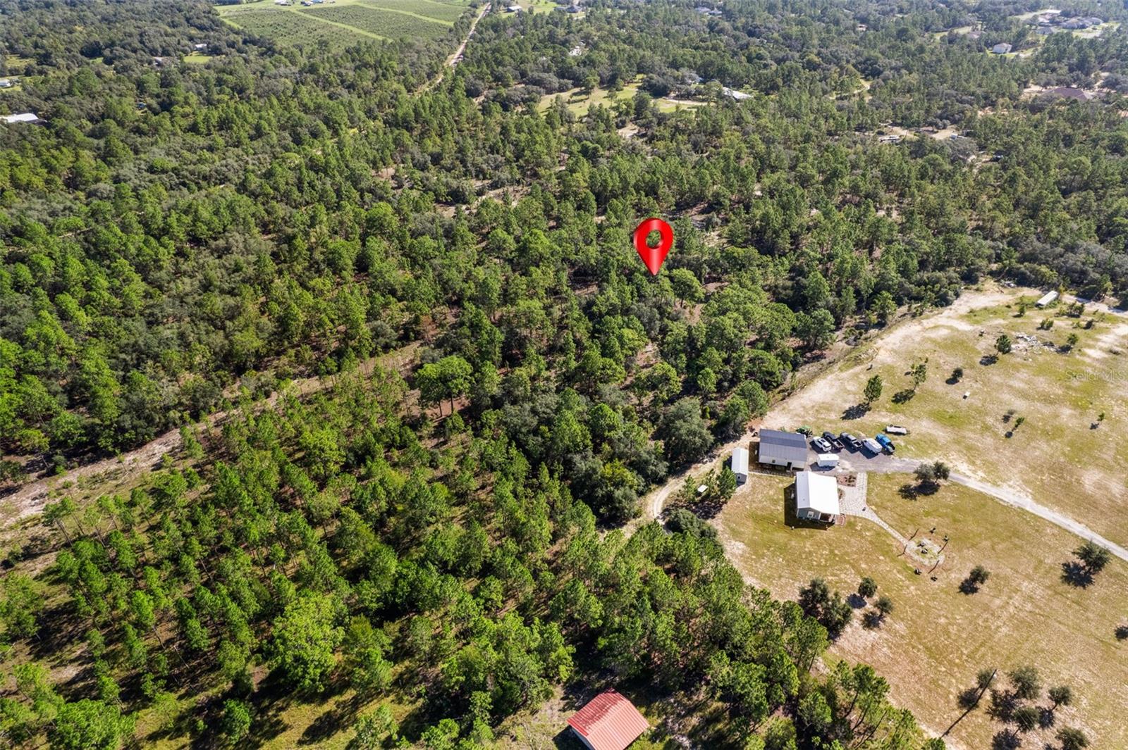 10686 N Statue Pt Property Photo 6