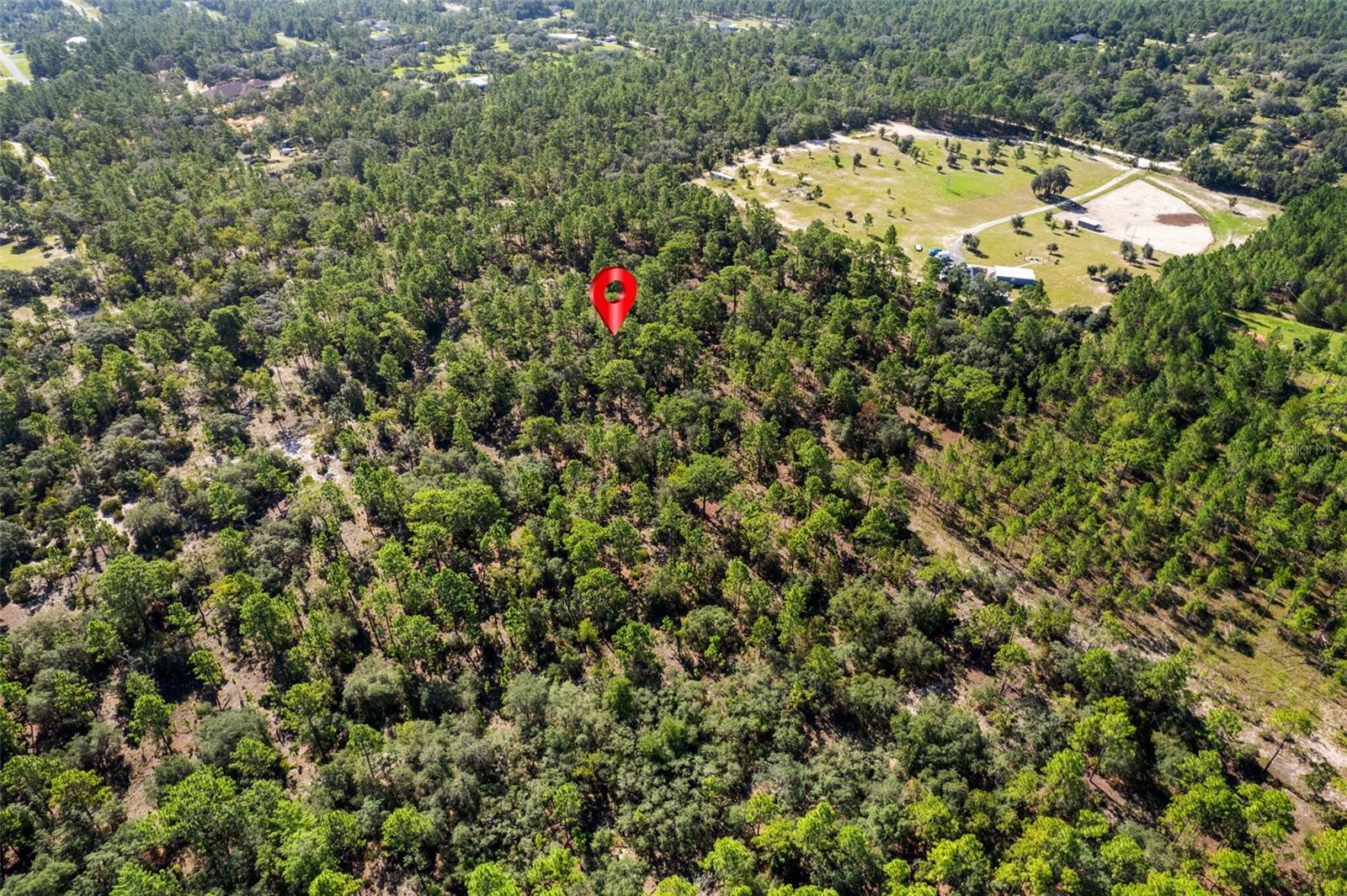 10686 N Statue Pt Property Photo 8