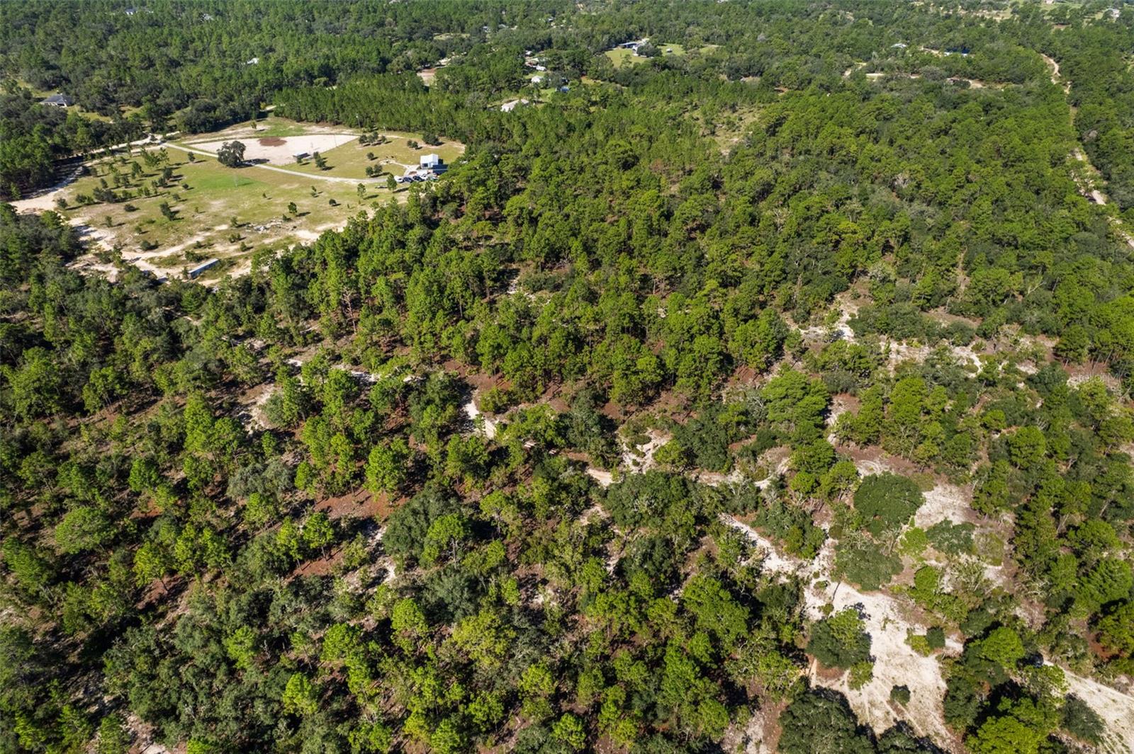 10686 N Statue Pt Property Photo 11