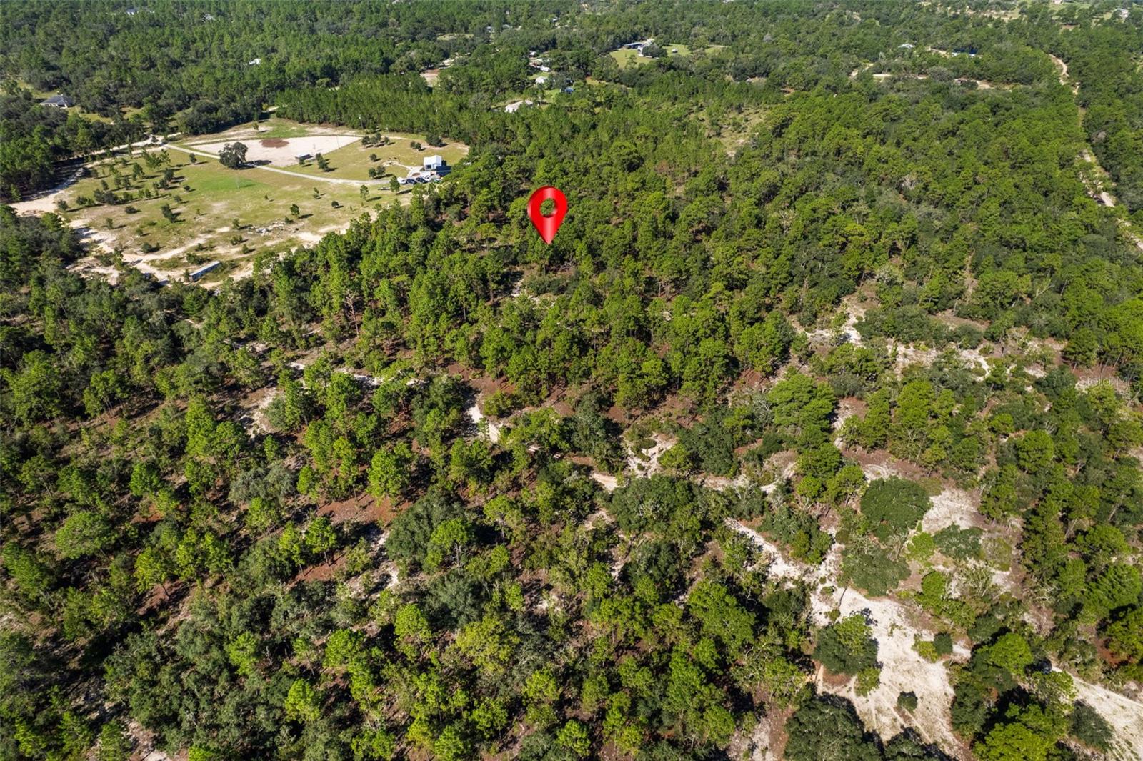 10686 N Statue Pt Property Photo 12