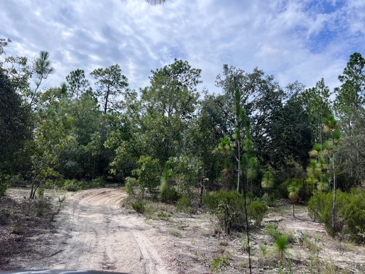 10686 N Statue Pt Property Photo 13