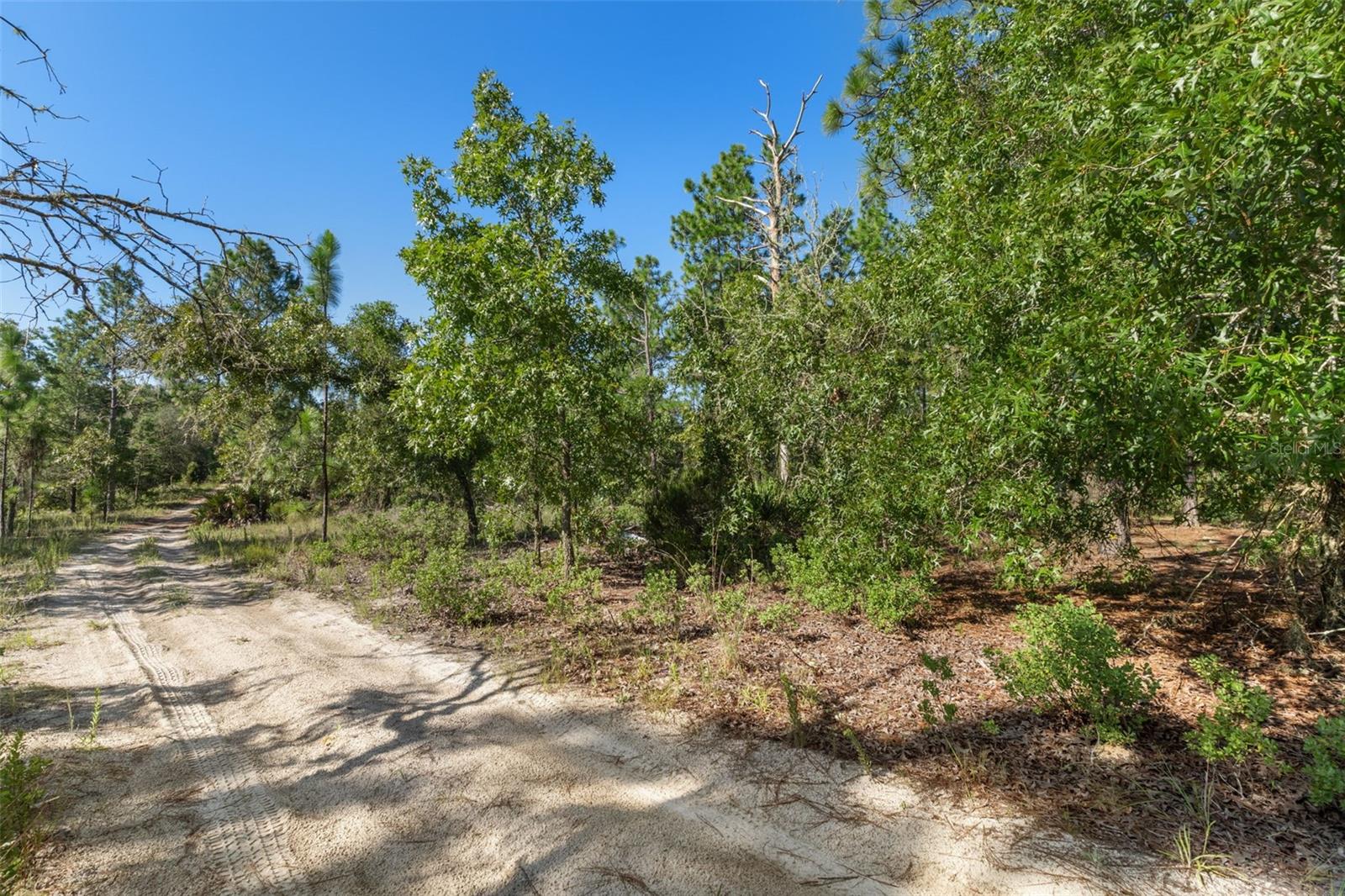 10686 N Statue Pt Property Photo 14