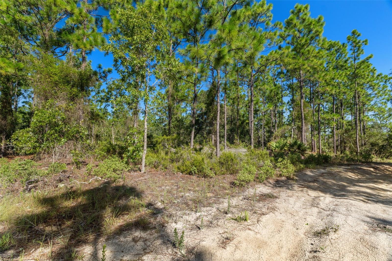 10686 N Statue Pt Property Photo 15
