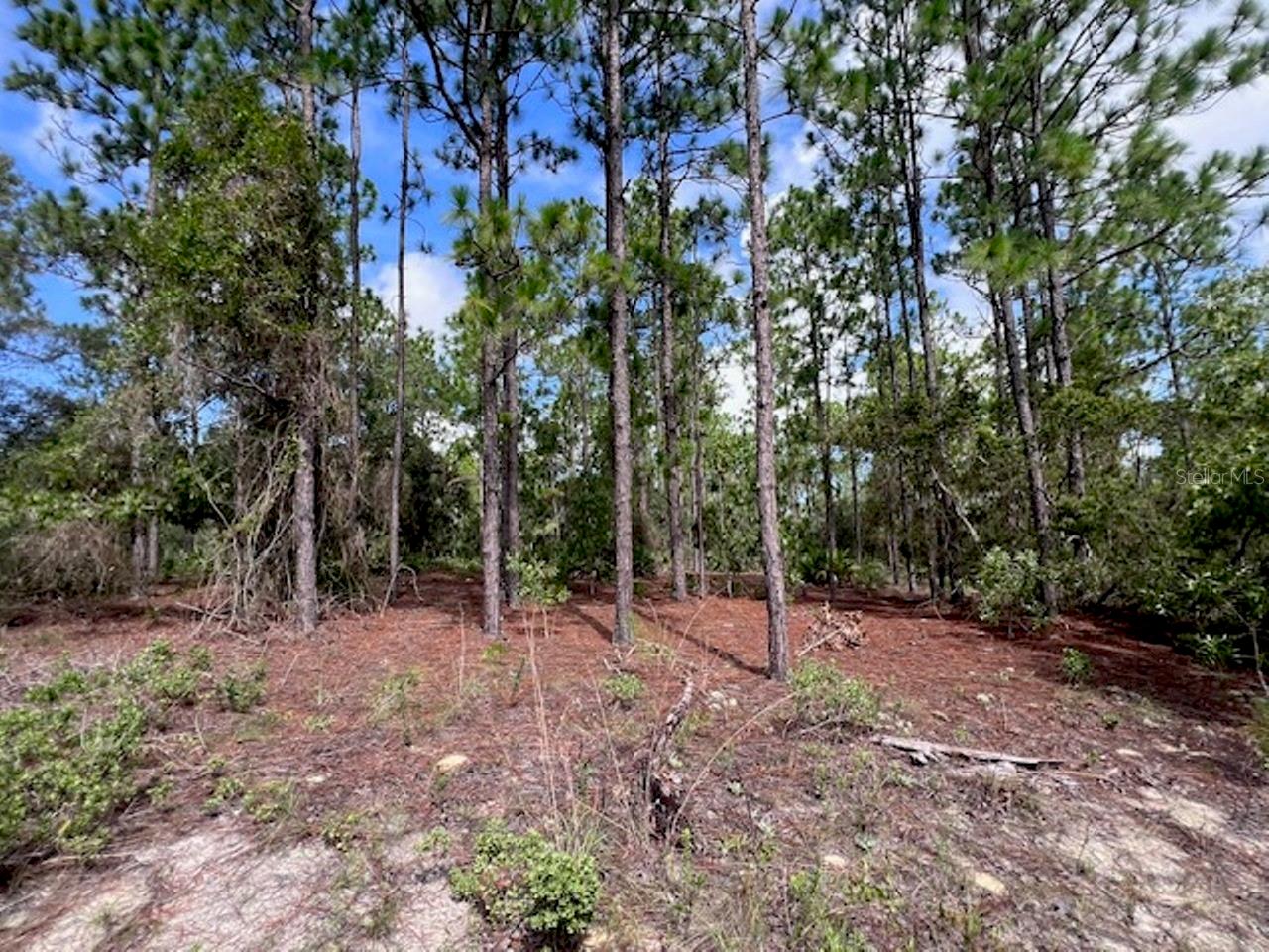 10686 N Statue Pt Property Photo 16