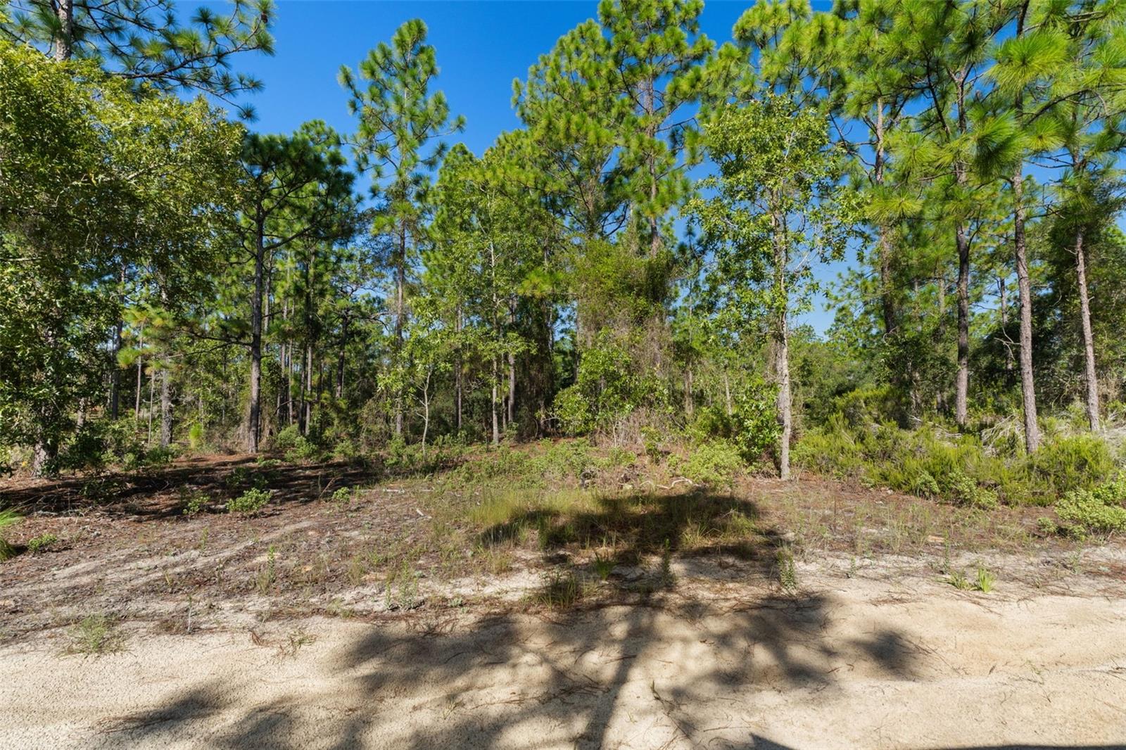 10686 N Statue Pt Property Photo 17