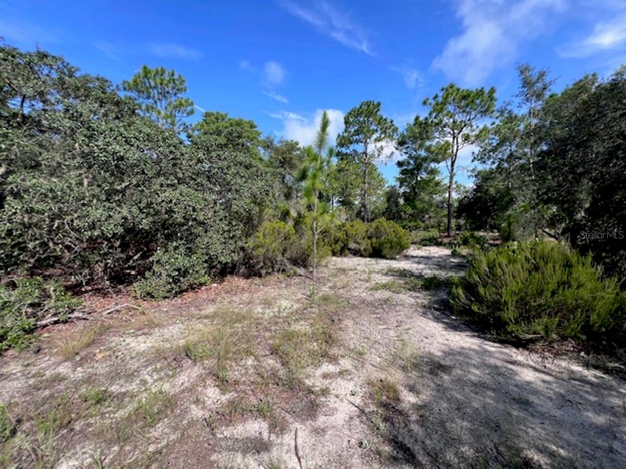 10686 N Statue Pt Property Photo 18