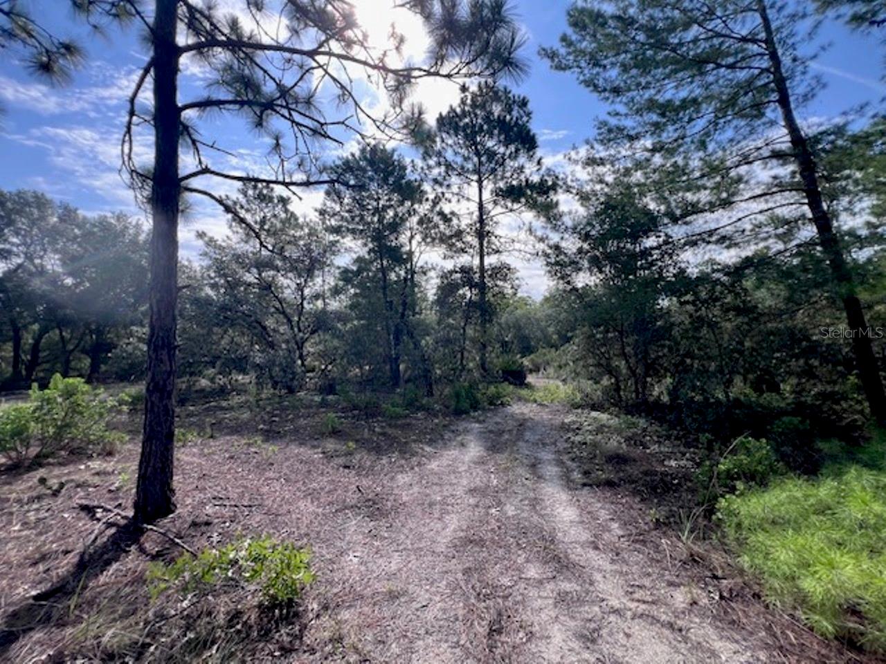 10686 N Statue Pt Property Photo 19
