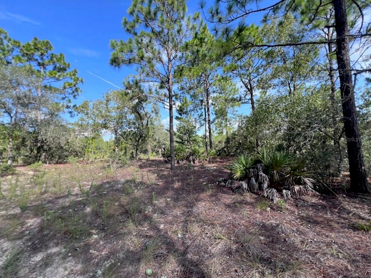 10686 N Statue Pt Property Photo 20
