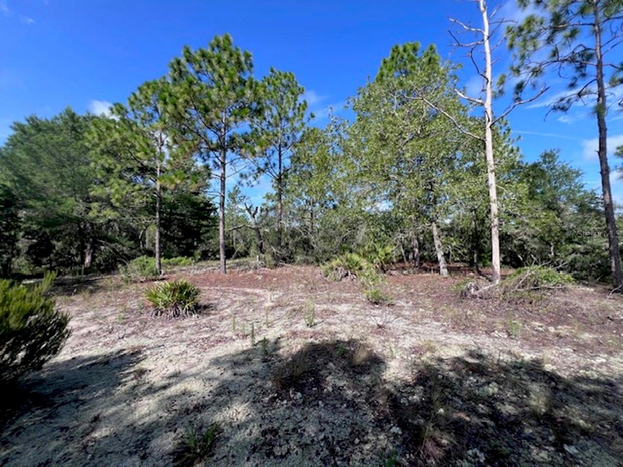10686 N Statue Pt Property Photo 21