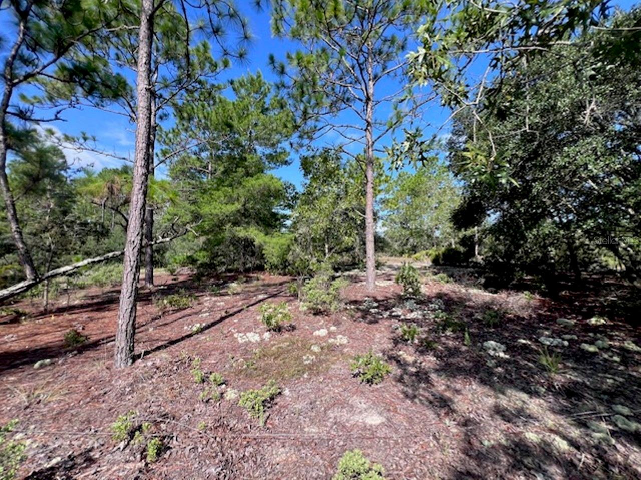 10686 N Statue Pt Property Photo 22