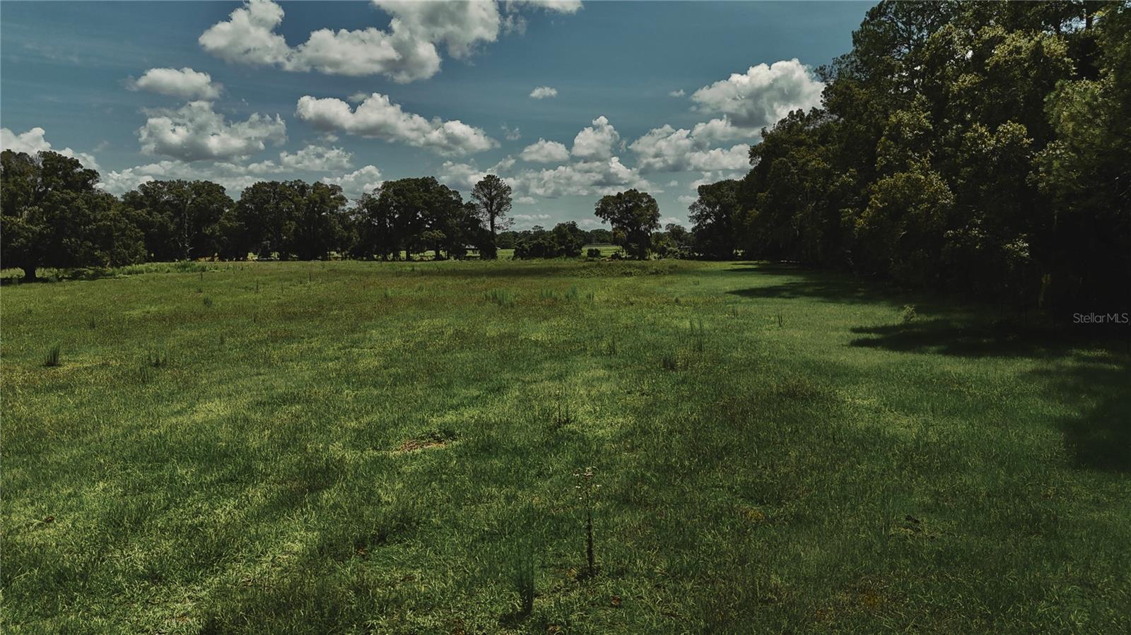 4802 Nw 50th Rd Property Photo 42