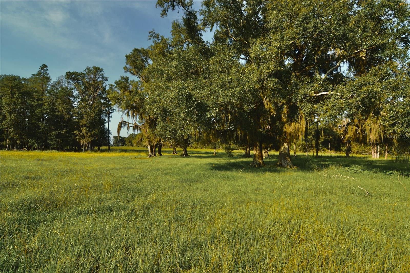 4802 Nw 50th Rd Property Photo 52