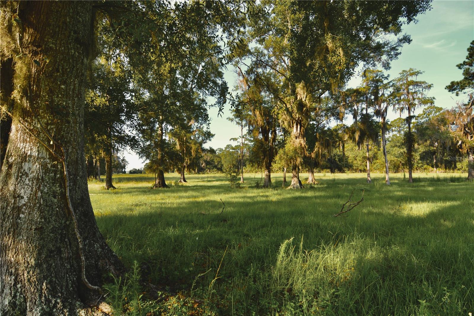 4802 Nw 50th Rd Property Photo 53