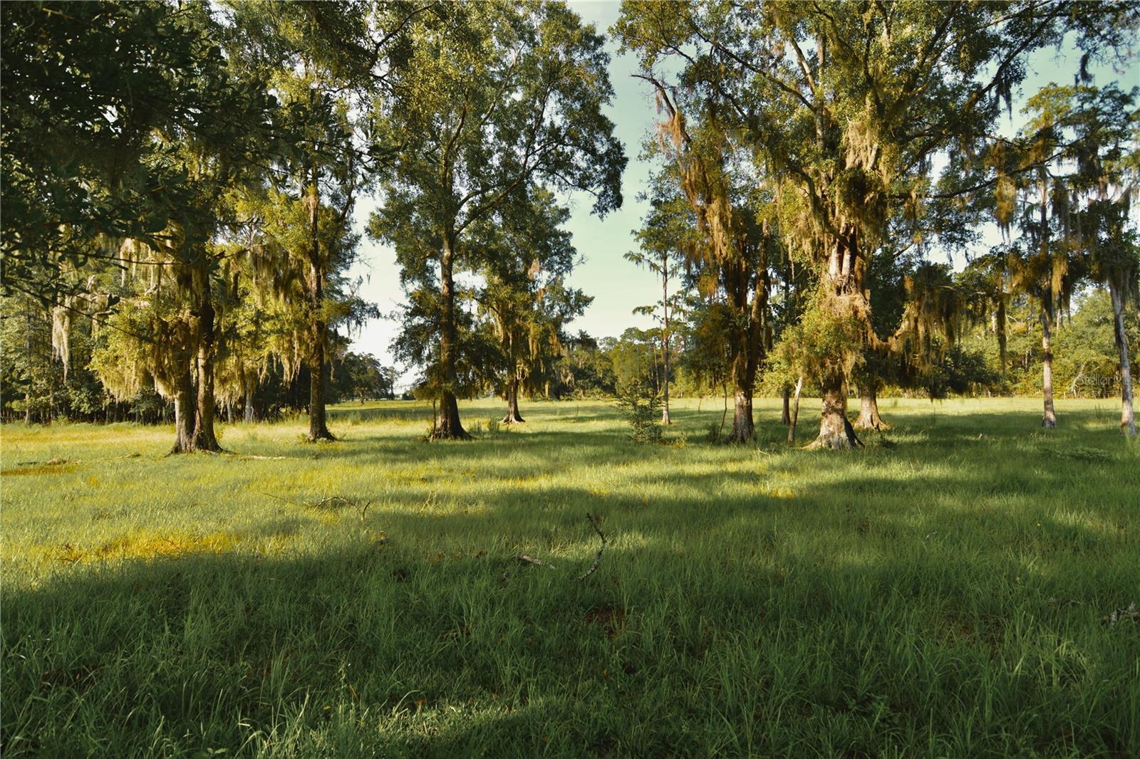 4802 Nw 50th Rd Property Photo 54