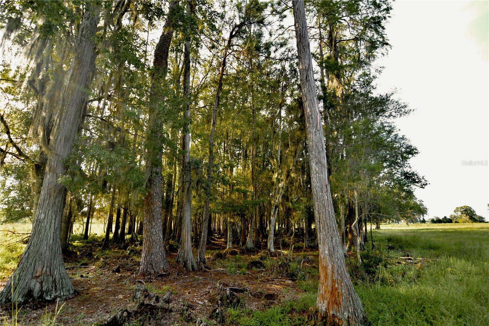 4802 Nw 50th Rd Property Photo 55