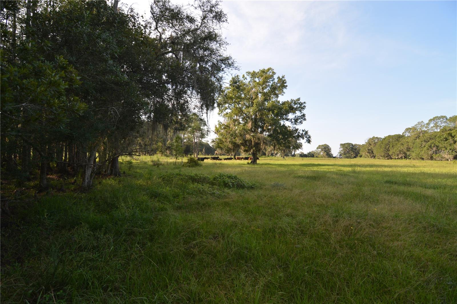 4802 Nw 50th Rd Property Photo 56