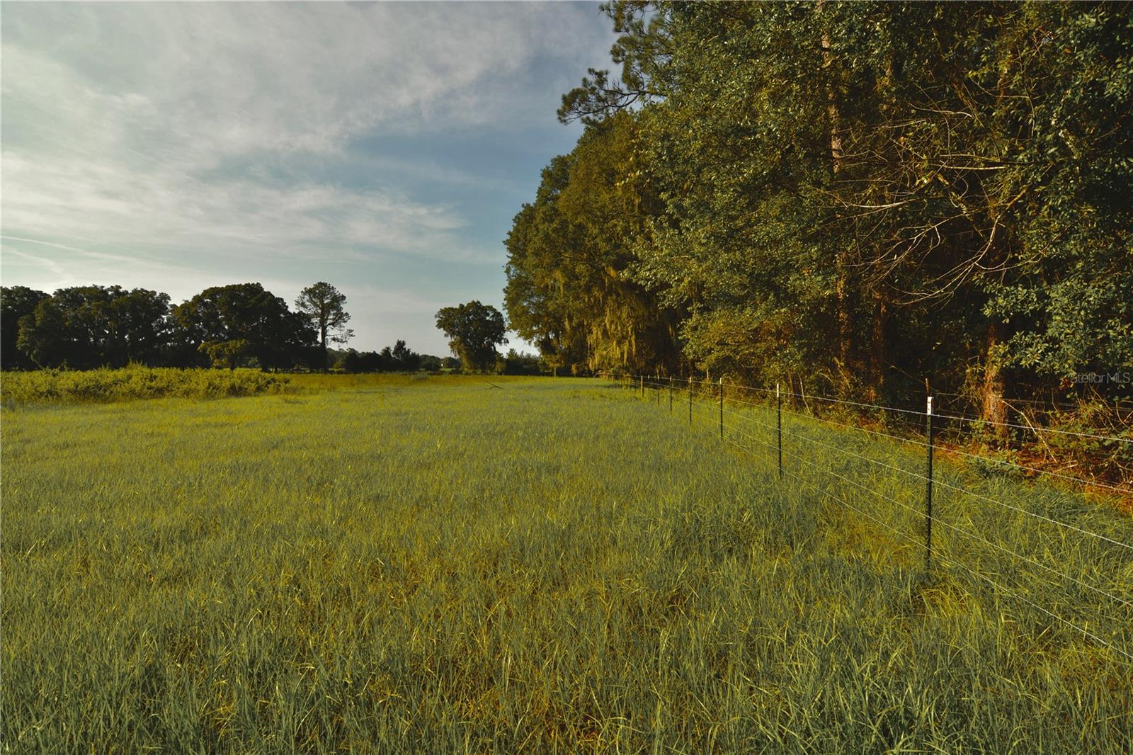 4802 Nw 50th Rd Property Photo 59