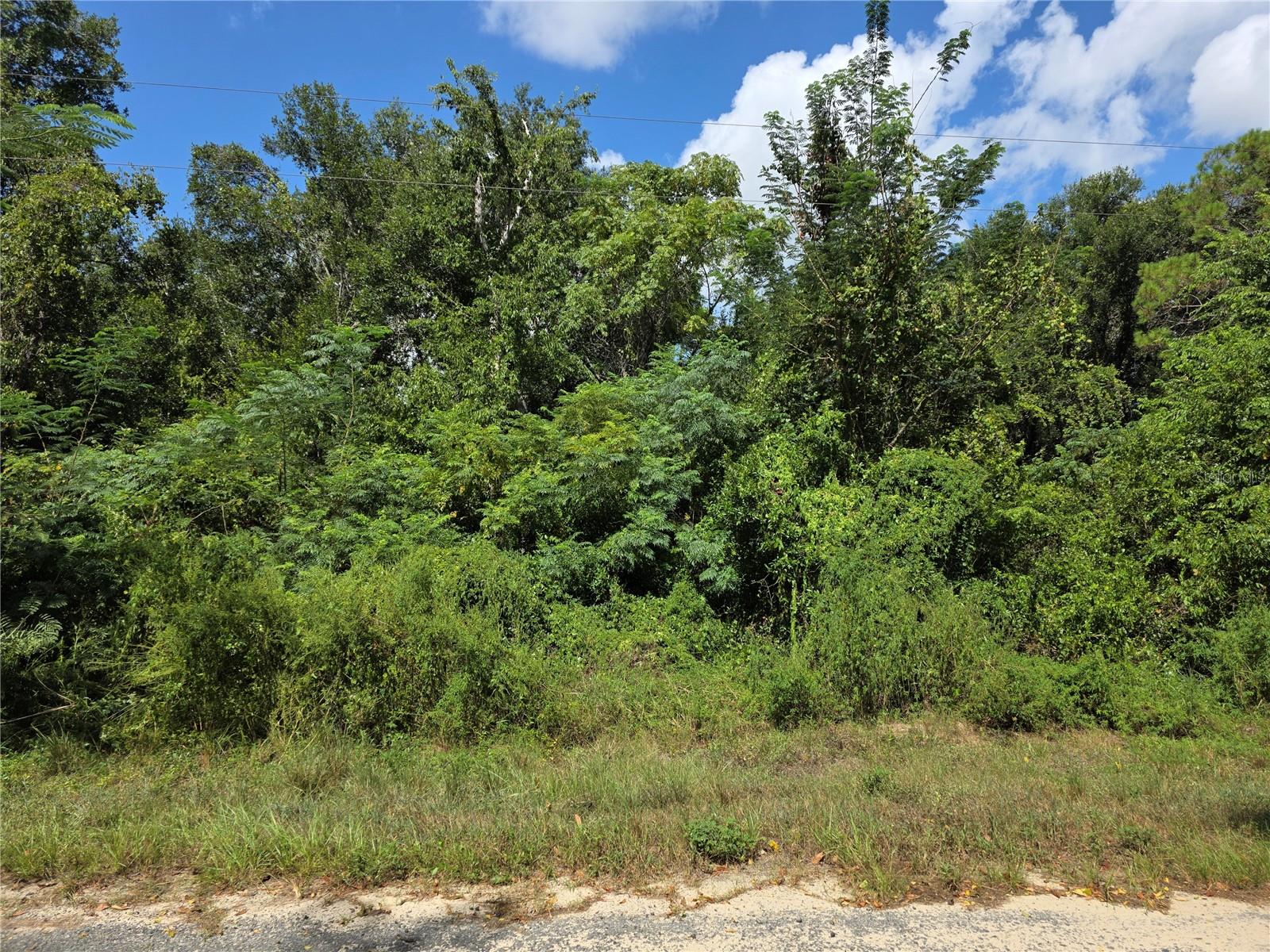 00 Keedy Rd Property Photo 4