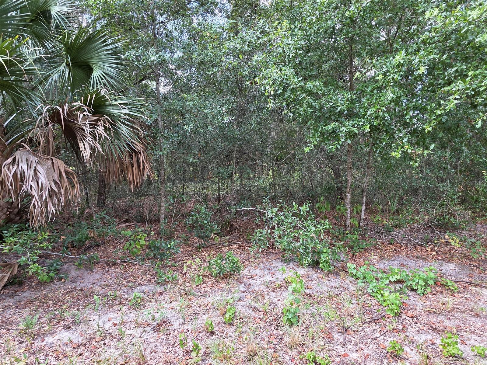 00 Keedy Rd Property Photo 8