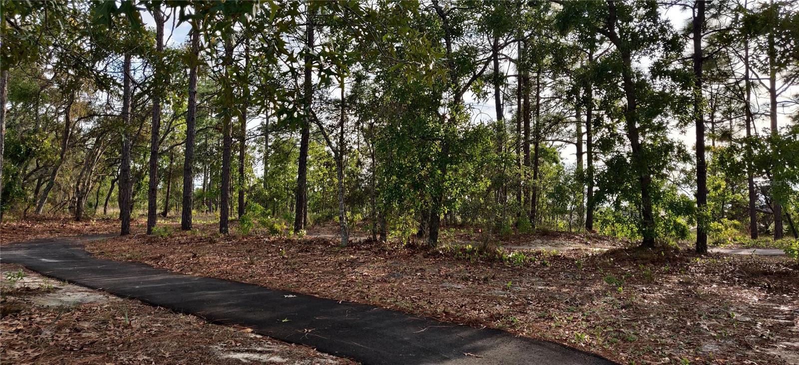 5568 Ocean Breeze Dr Property Photo 25