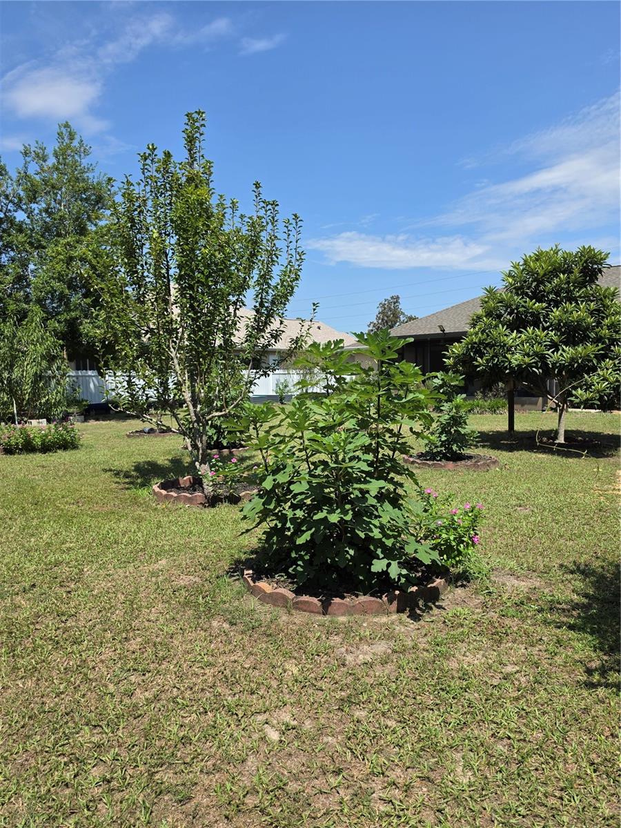 3910 Sw 103rd Street Rd Property Photo 29