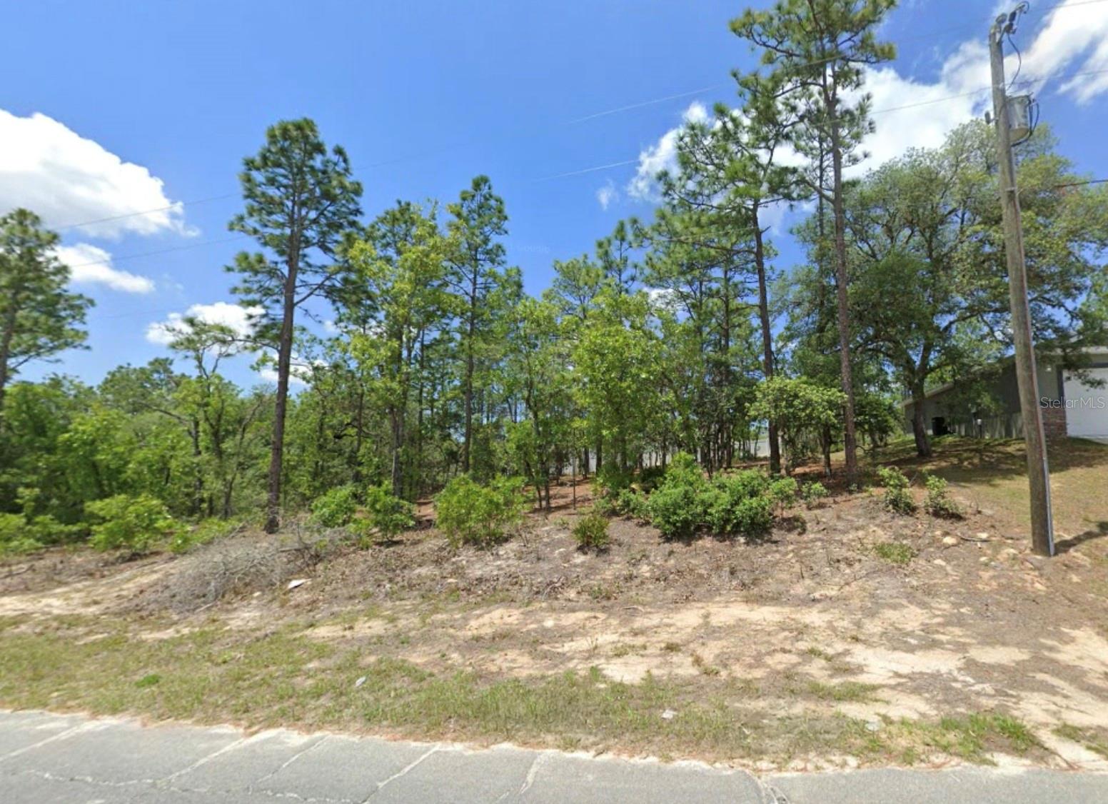 3065 W Sharpes Dr Property Photo 3
