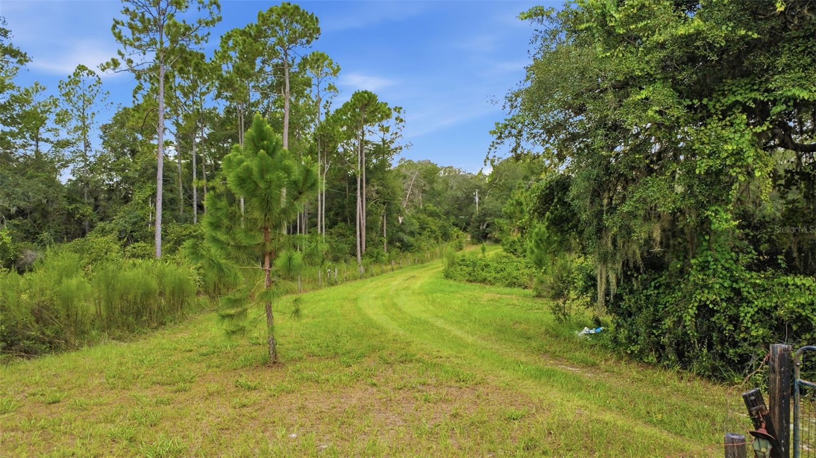39913 Swift Rd Property Photo 5
