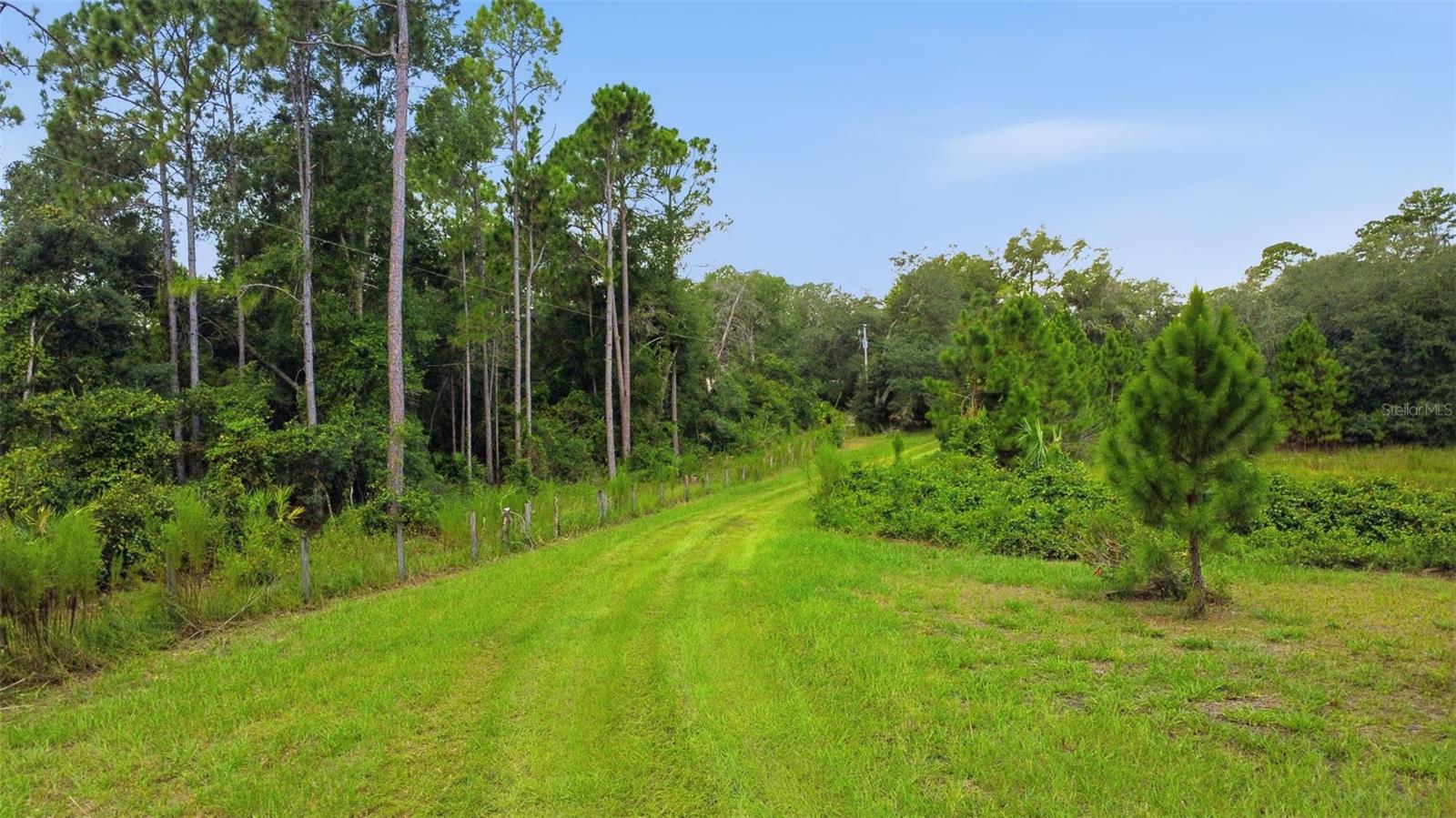 39913 Swift Rd Property Photo 6