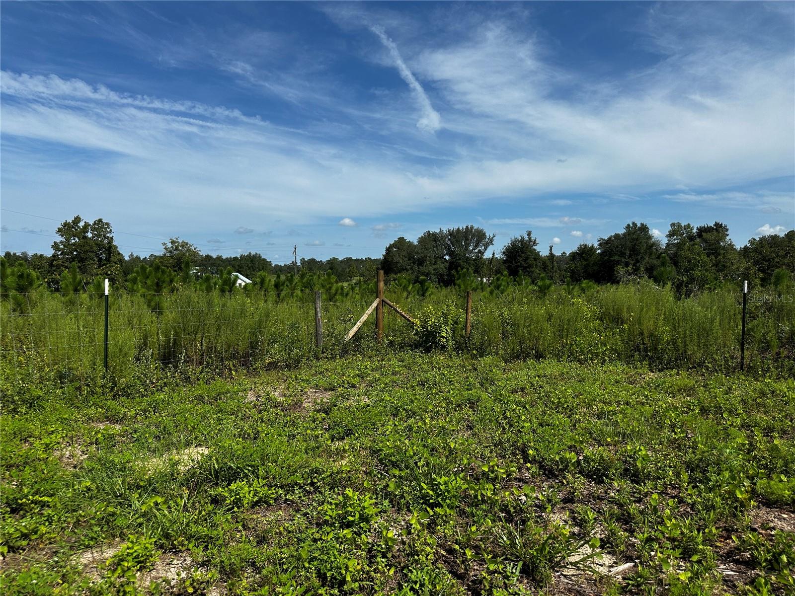 7351 Ne 106th Ter Property Photo 42