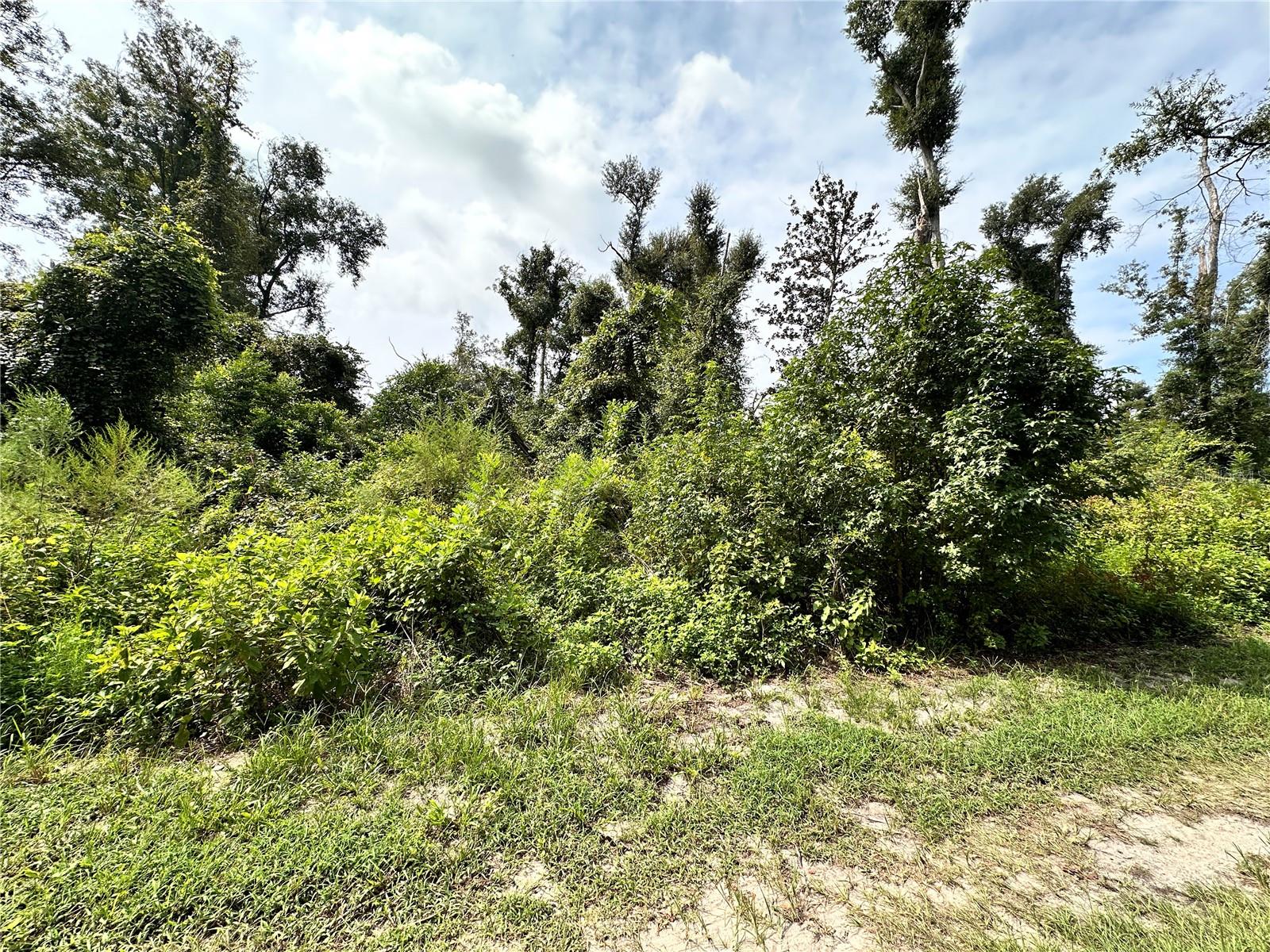 Nw West South Dr Property Photo 3