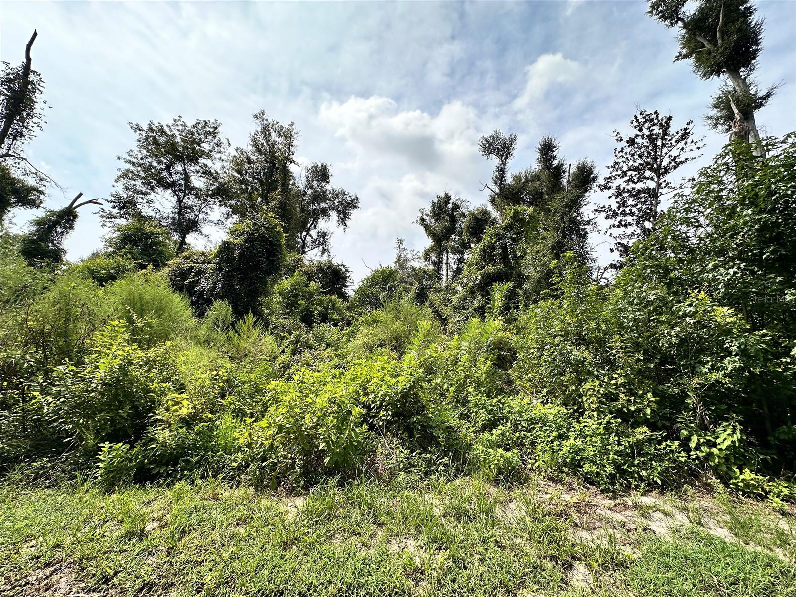 Nw West South Dr Property Photo 4