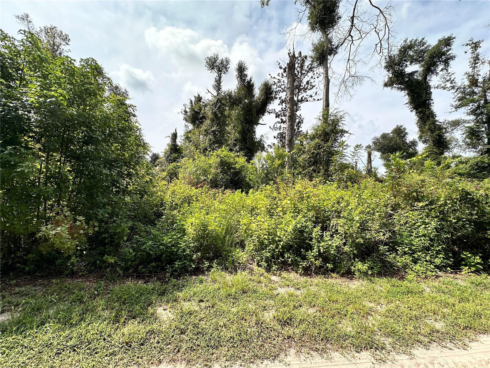 Nw West South Dr Property Photo 24