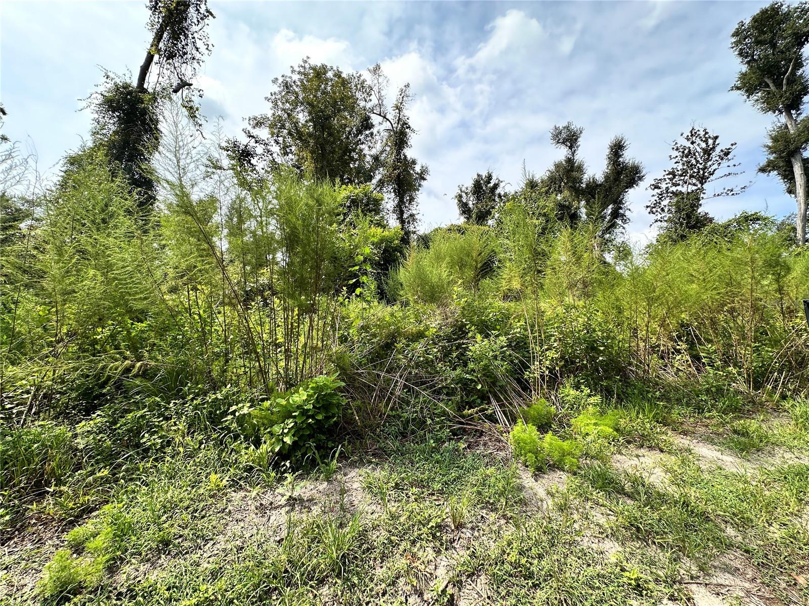 Nw West South Dr Property Photo 25