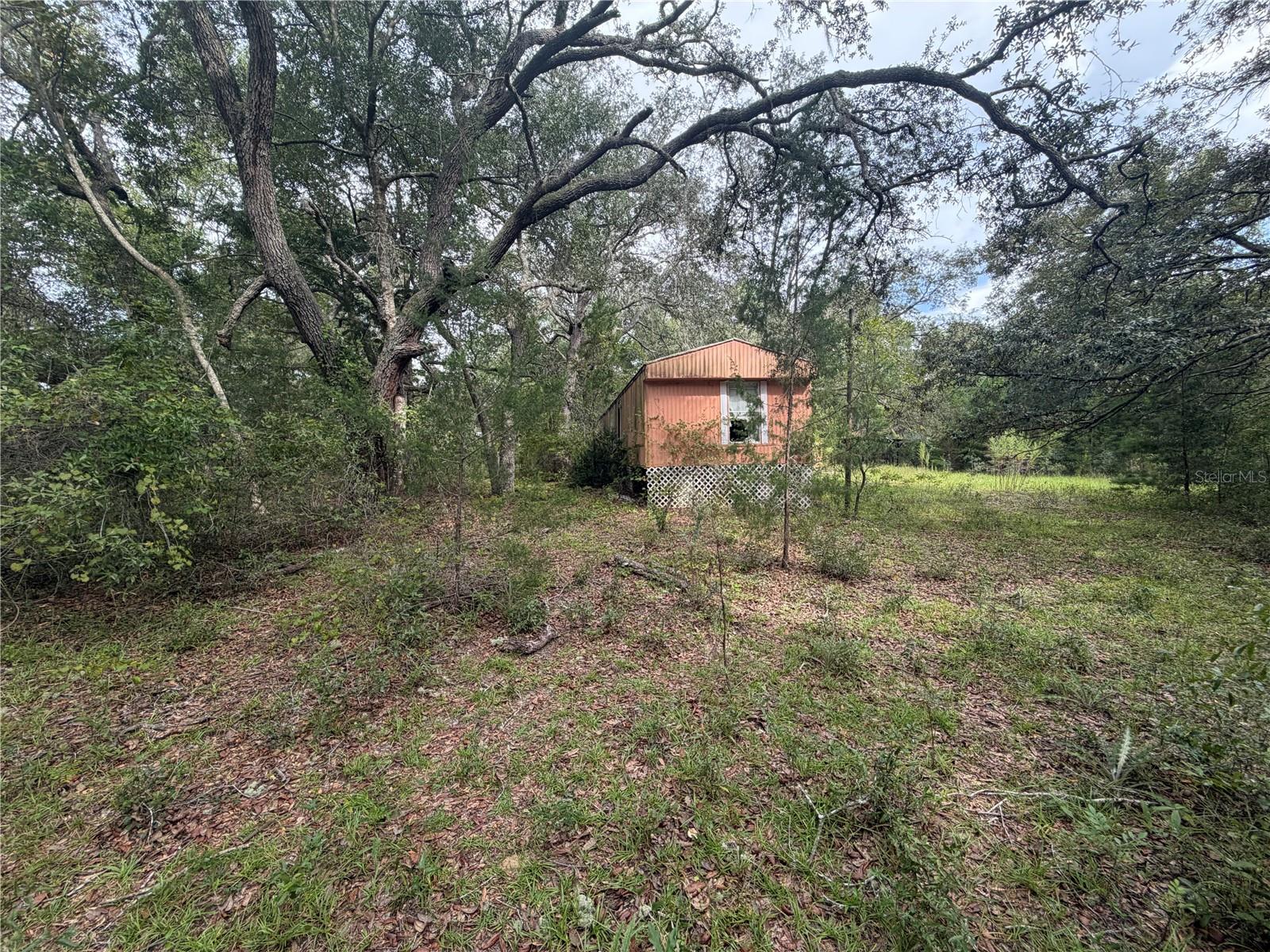 11590 Ne 88th Ln Property Photo 3
