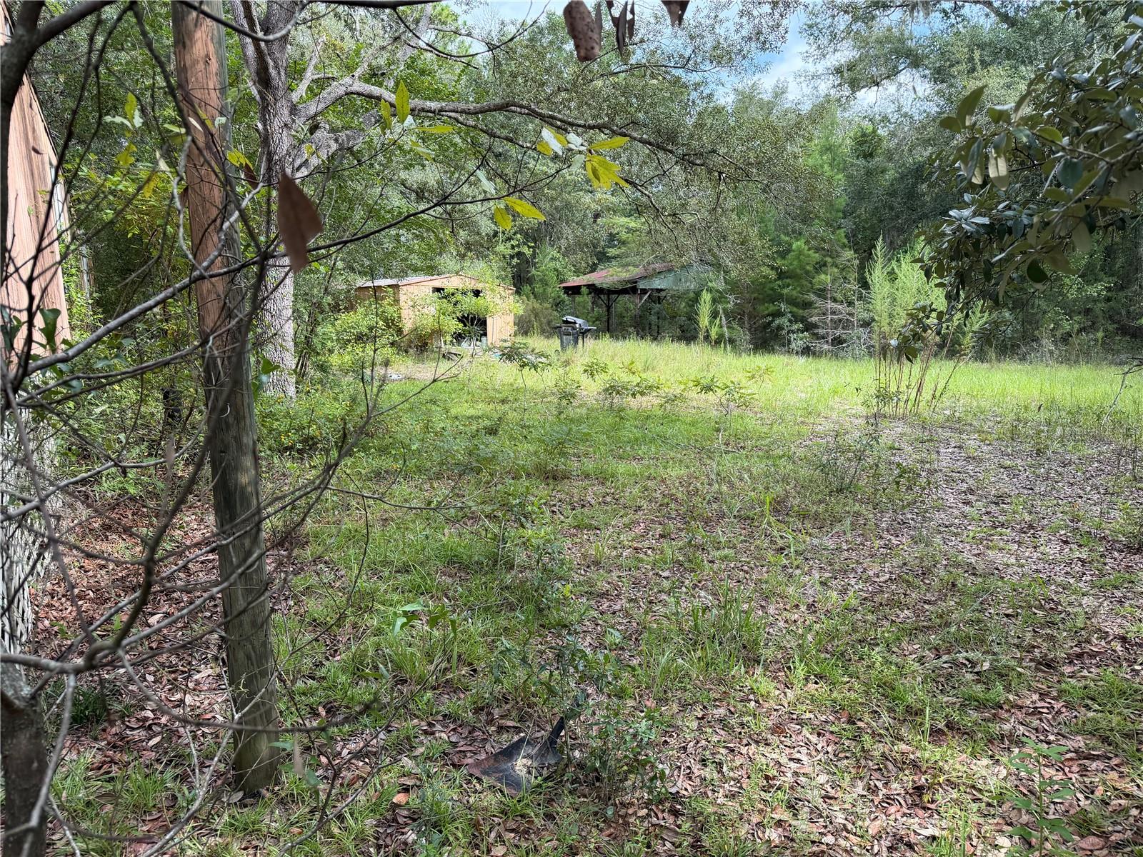 11590 Ne 88th Ln Property Photo 4