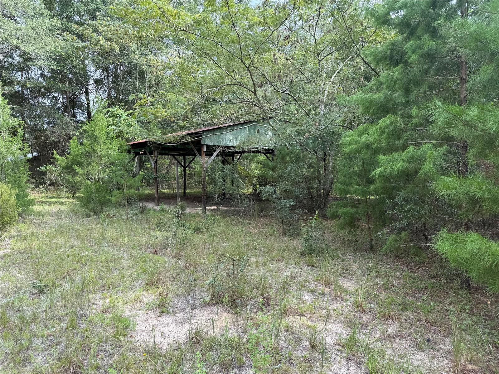 11590 Ne 88th Ln Property Photo 6