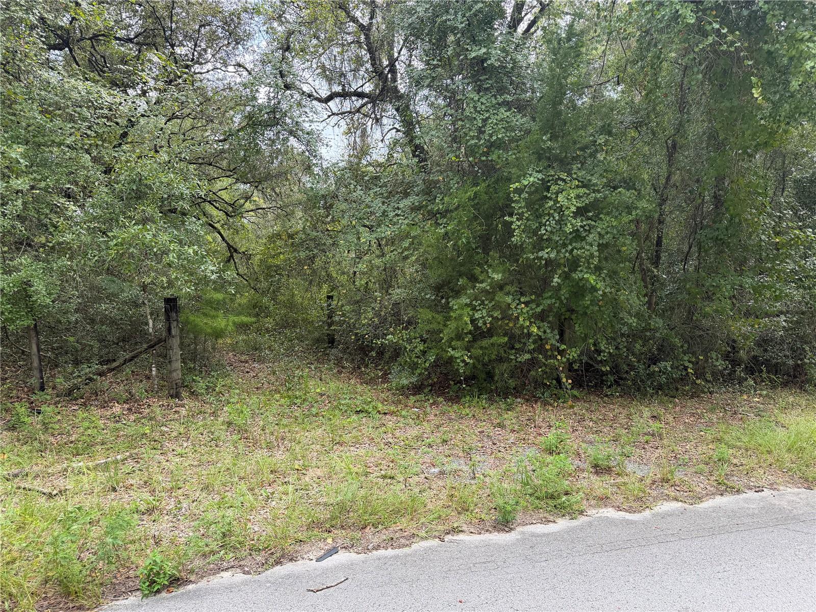 11590 Ne 88th Ln Property Photo 8