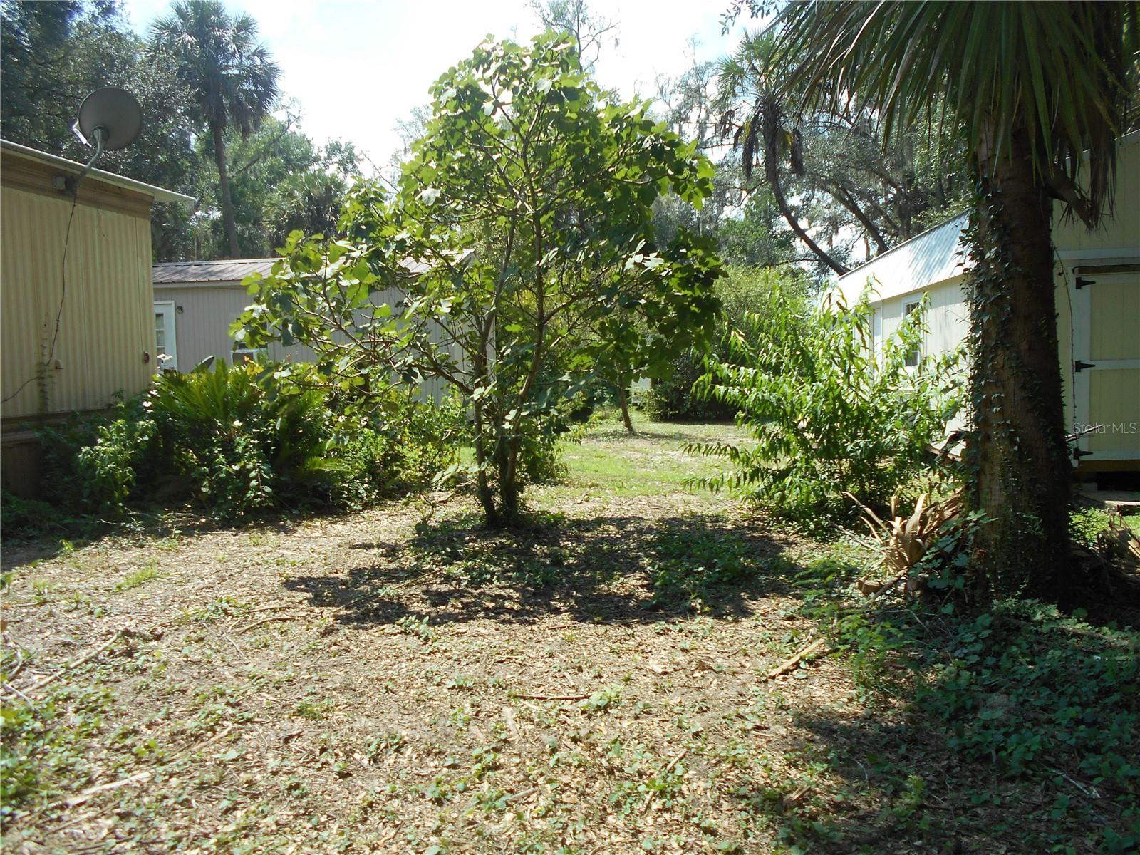 18800 Ne 248th Ter Property Photo 6