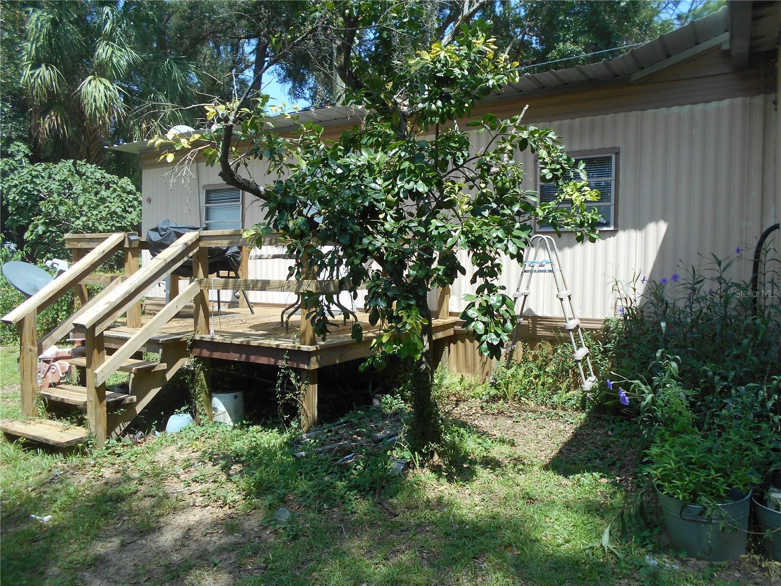 18800 Ne 248th Ter Property Photo 13